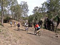 Linville - Blackbutt Rail Trail logo