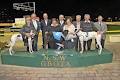 NSW Greyhound Breeders Owners & Trainers Assoc image 1