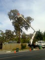 Peninsula Mulching & Tree Lopping image 6