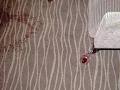 Perth Rug Wash logo