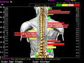 Shenton Park Chiropractic Centre logo