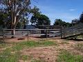 Standen Rural Fencing image 1