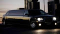 The Limo Boutique Pty Ltd image 1