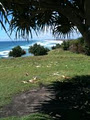 Tweed Coast Computing image 1