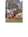 Aerial Tree Services logo
