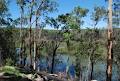 Bulga Creek Horse Riding image 5