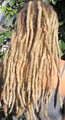 Divine Dreadlocks image 4