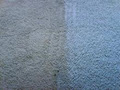 HELENSVALE CARPET CARE image 5